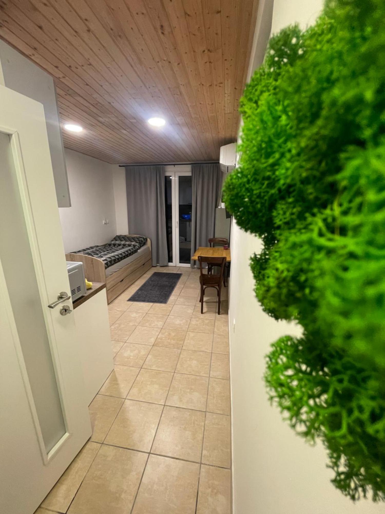 Apartman Mini สตูปาวา ภายนอก รูปภาพ